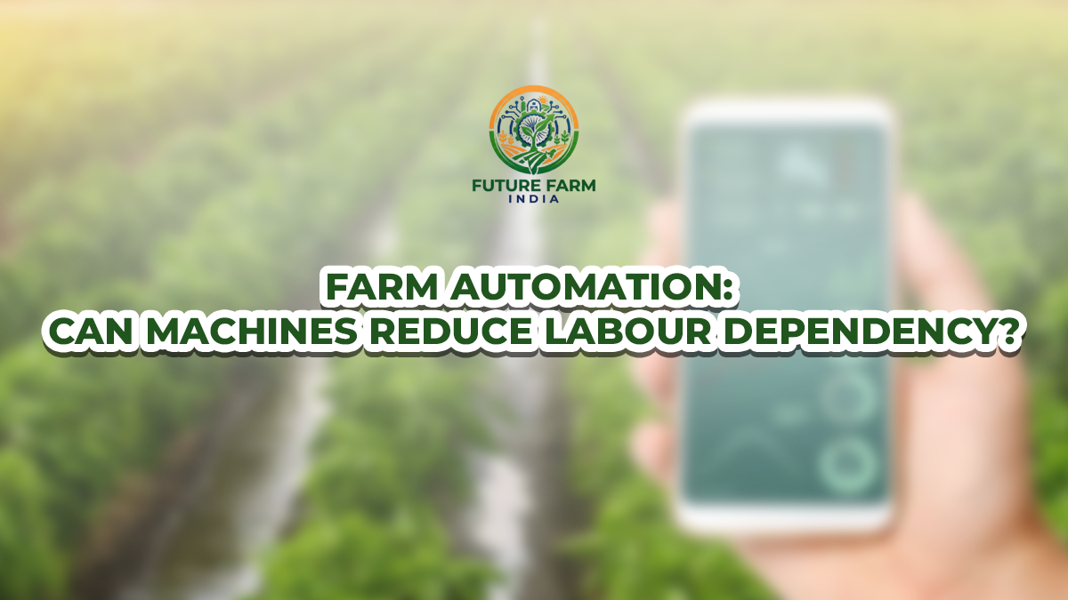 Farm Automation: Can Machines Reduce Labor Dependency?
