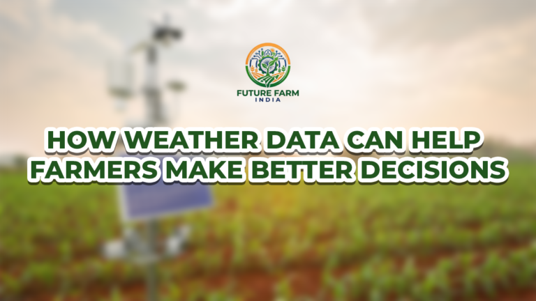 How Weather Data Can Help Farmers Make Better Decisions