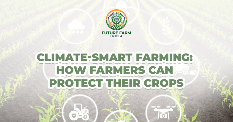 Climate-Smart Farming: How Farmers Can Protect Their Crops