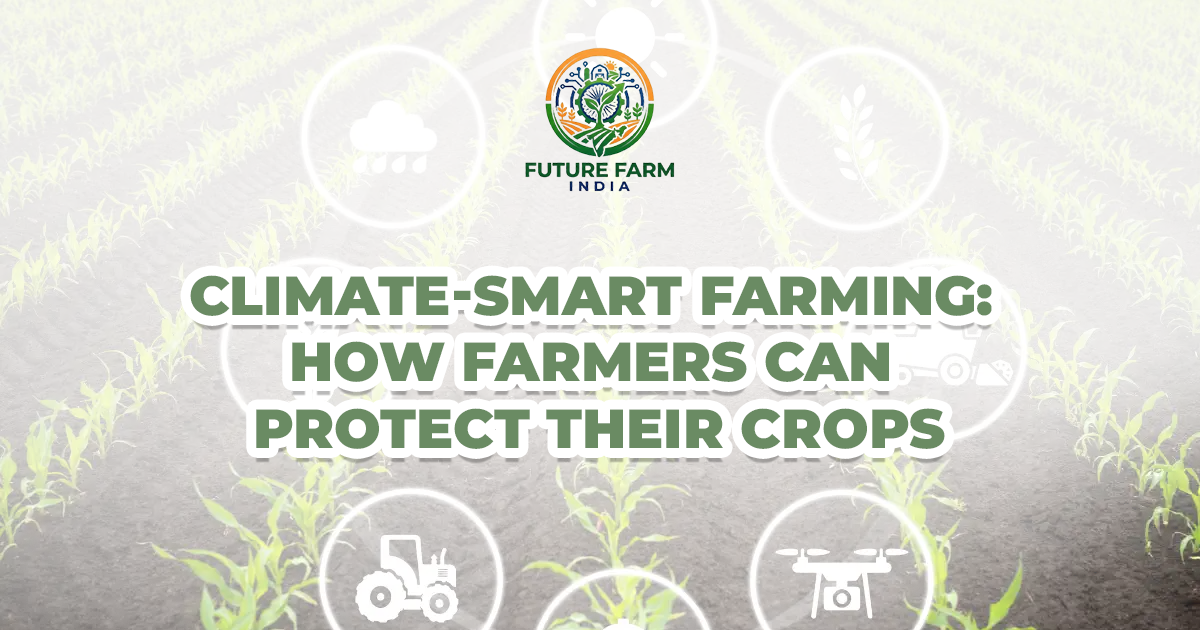 Climate-Smart Farming: How Farmers Can Protect Their Crops