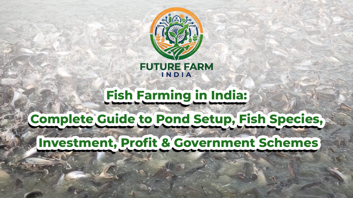 Fish Farming in India: Complete Guide to Pond Setup, Fish Species, Investment, Profit & Government Schemes