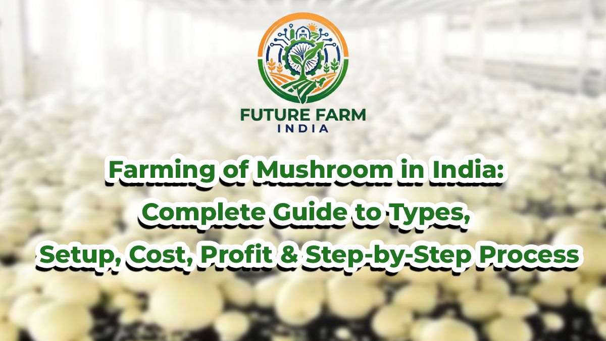 Farming of Mushrooms in India: Complete Guide to Types, Setup, Cost, Profit & Step-by-Step Process