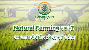 What is Natural Farming? A New Low-Cost Farming Method