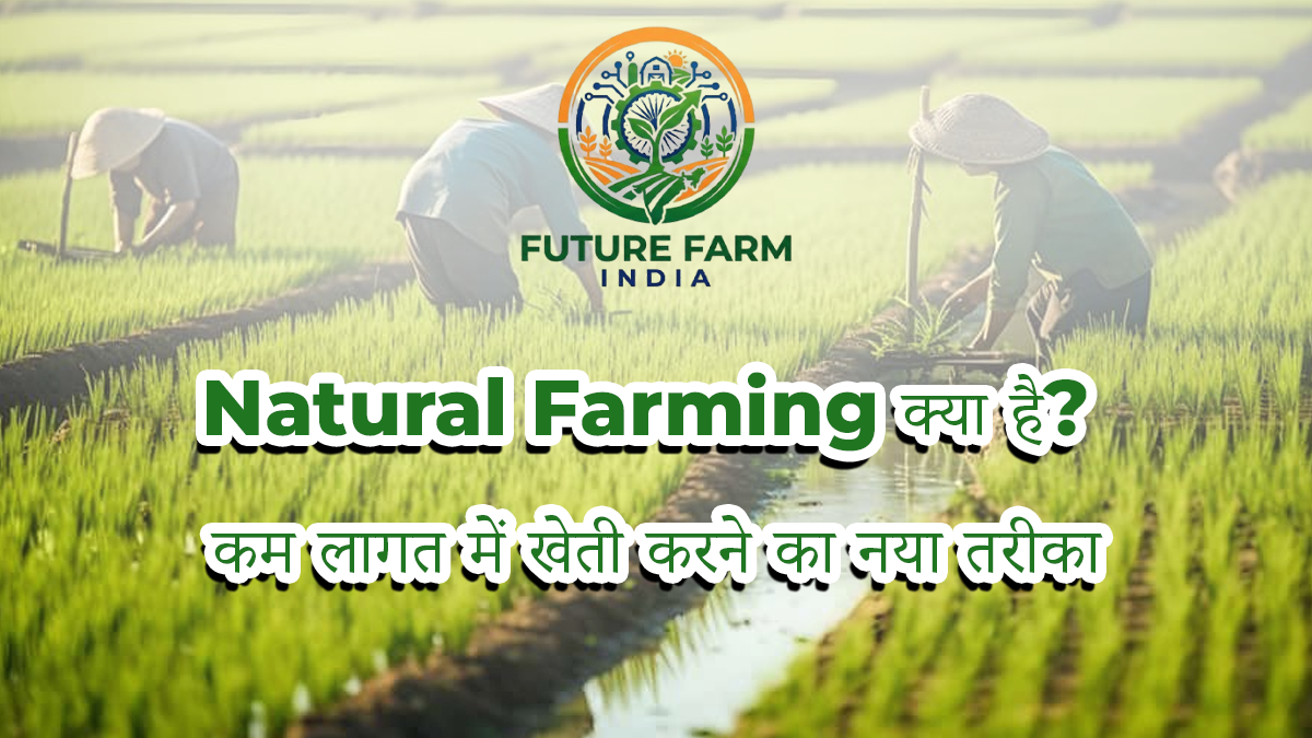What is Natural Farming? A New Low-Cost Farming Method