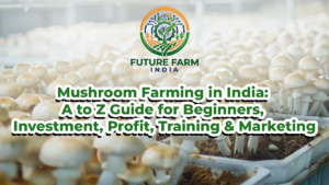 Mushroom Farming in India: A to Z Guide for Beginners, Investment, Profit, Training & Marketing