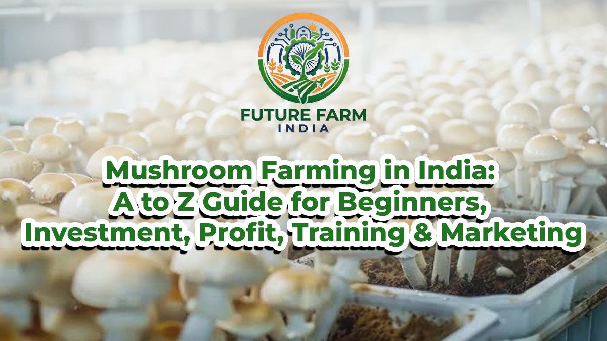 Mushroom Farming in India: A to Z Guide for Beginners, Investment, Profit, Training & Marketing