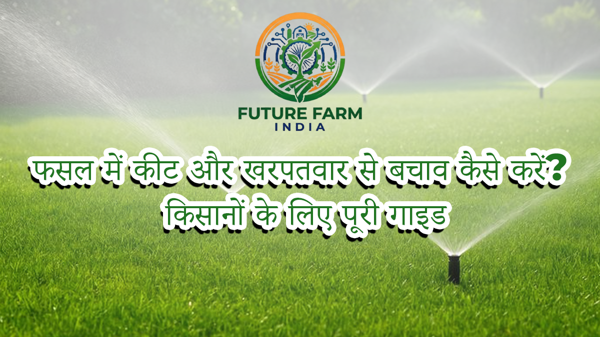 How to protect crops from pests and weeds? A complete guide for farmers