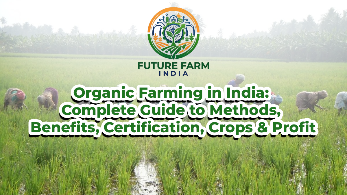 Organic Farming in India: Complete Guide to Methods, Benefits, Certification, Crops & Profit